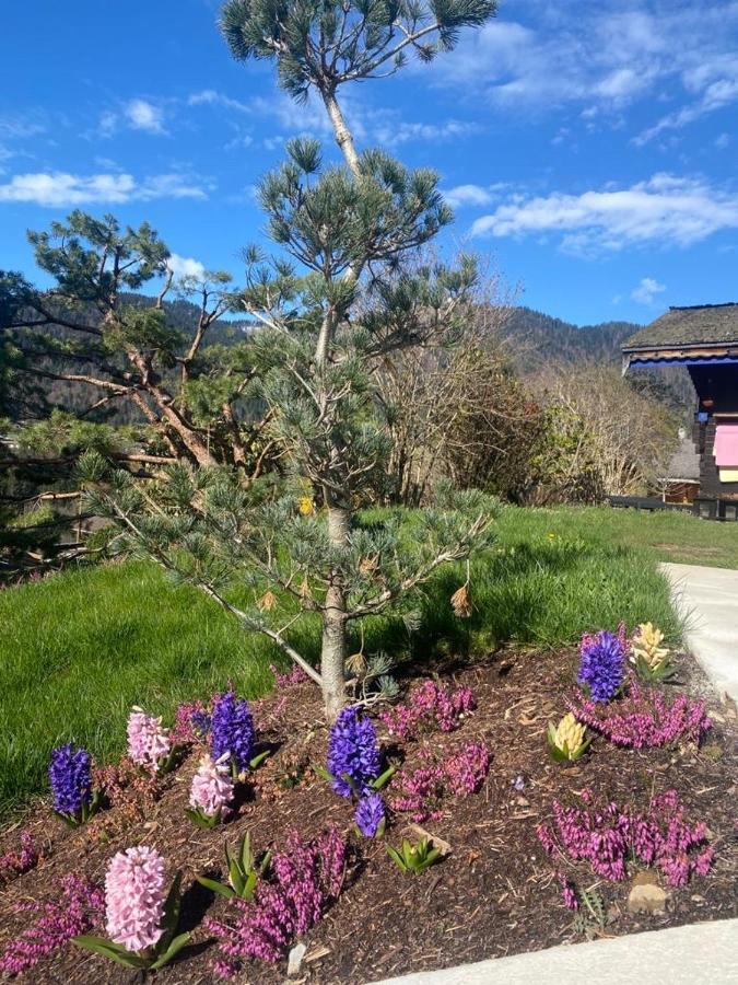 Micro-Lodge, Le Petit Nid D'Amour Montriond Exterior foto